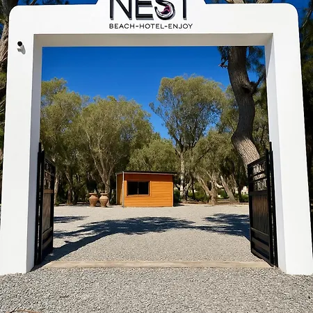 Nest *