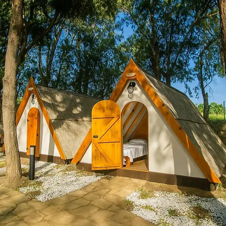 Campsite Nest