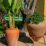 אתר קמפינג Nest *